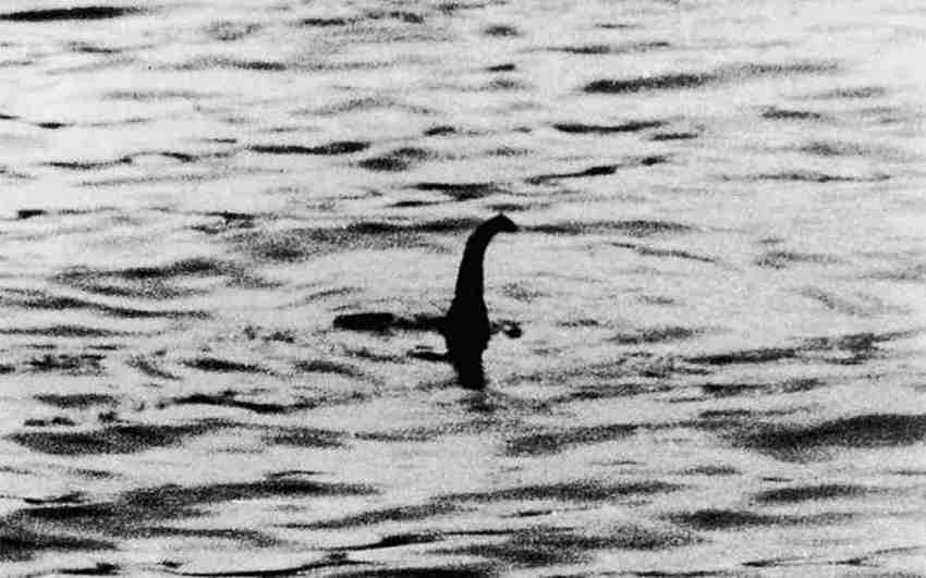 Potwór z Loch Ness - Zdjęcie Chirurga