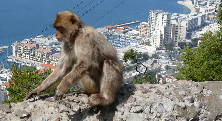 Gibraltar