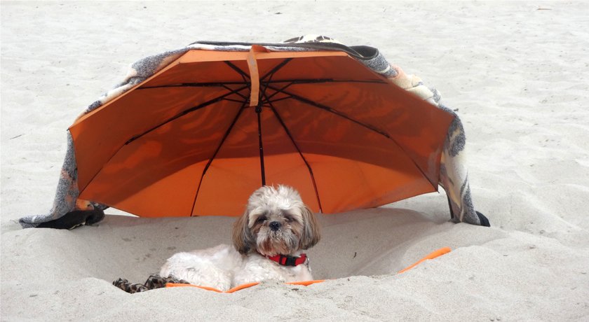 Wyspy Kanaryjskie-Teneryfa-pogoda