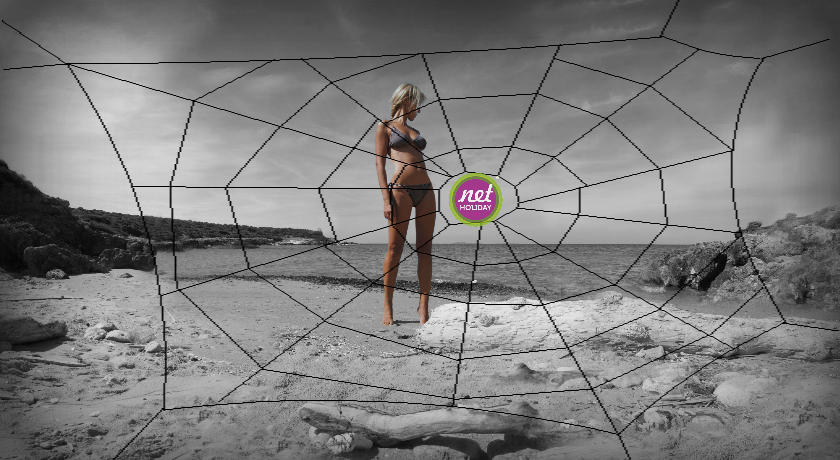 Net Holiday - lato