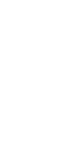 Ecco Holiday
